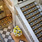 Hotel D